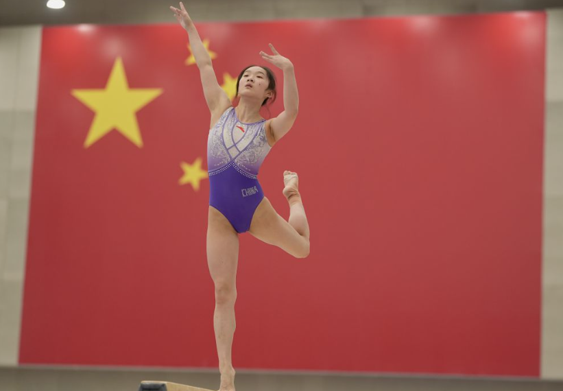 探索凤凰彩票平台APP的用户体验